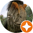 Vin1 games profile picture